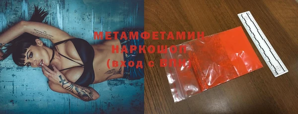 ГАЛЛЮЦИНОГЕННЫЕ ГРИБЫ Кедровый