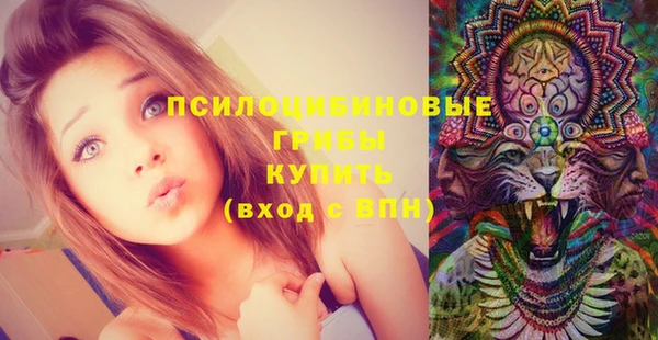ALPHA PVP Кемь