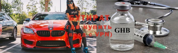 ГАЛЛЮЦИНОГЕННЫЕ ГРИБЫ Кедровый