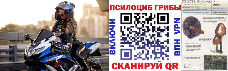 это клад  даркнет сайт  Пыталово  Галлюциногенные грибы мицелий 